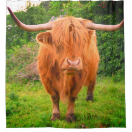Scottish Long Horned Cow Duschvorhang