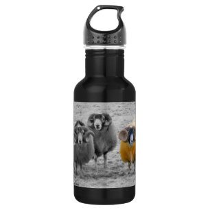 Scottish Rams Trinkflasche