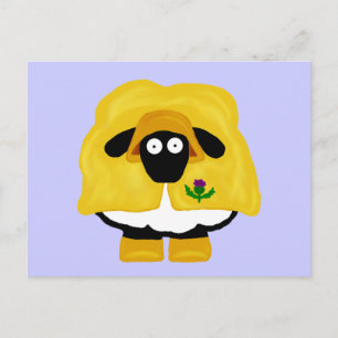 Scottish Sheep Postcard Postkarte