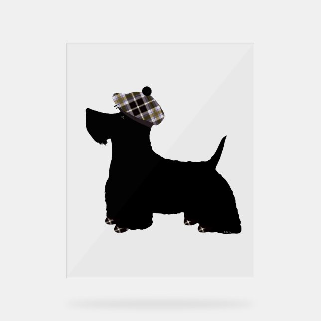 Scottish Terrier (Recto)