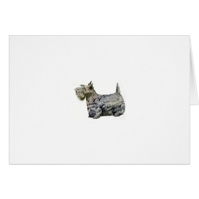 Scottish Terrier (Vorderseite (Horizontal))