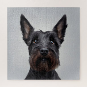 Scottish Terrier
