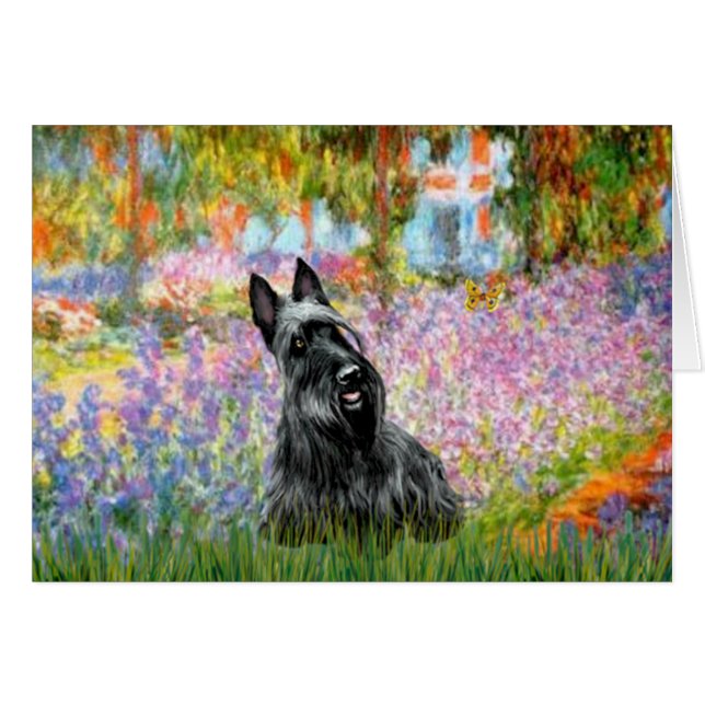 Scottish Terrier 2 - Garden (Vorderseite (Horizontal))