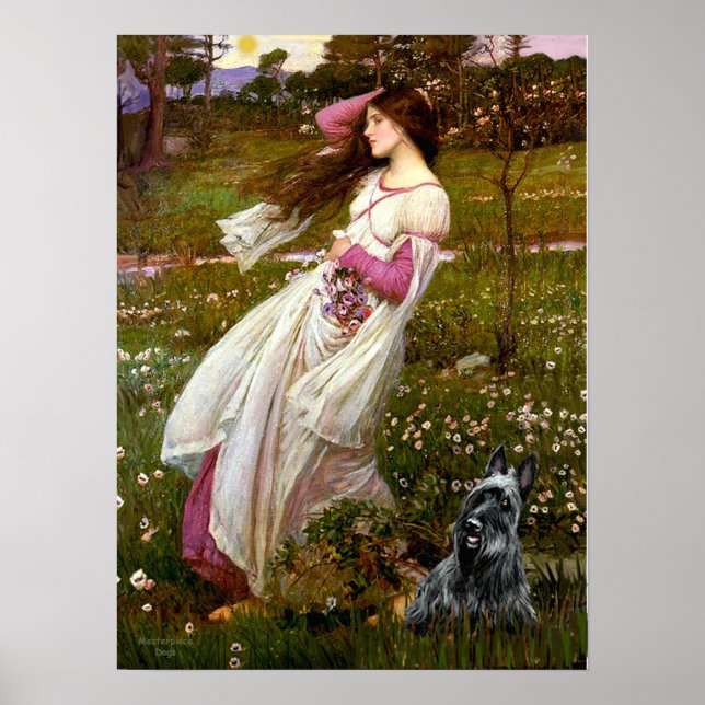 Scottish Terrier 3 - Windblumen Poster (Vorne)