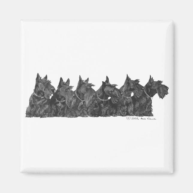 Scottish Terrier Ansammlung Magnet (Vorne)