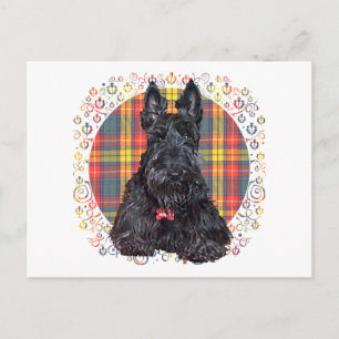Scottish Terrier auf Buchanan Kariert Postkarte