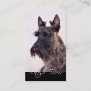 Scottish Terrier Business Cards Visitenkarte