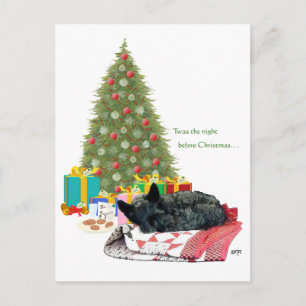 Scottish Terrier Christmas Nickerchen Feiertagspostkarte