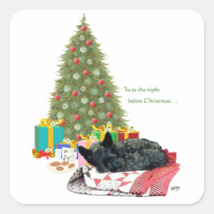 Scottish Terrier Christmas Nickerchen Quadratischer Aufkleber