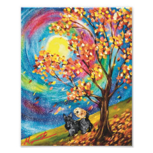Scottish Terrier Colorado Herbst Foto Print
