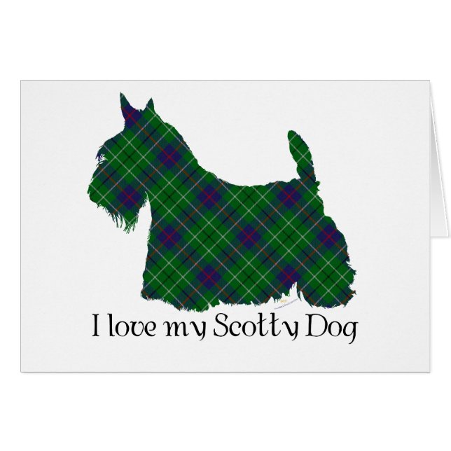 Scottish terrier Duncan Tartan (Devant horizontal)