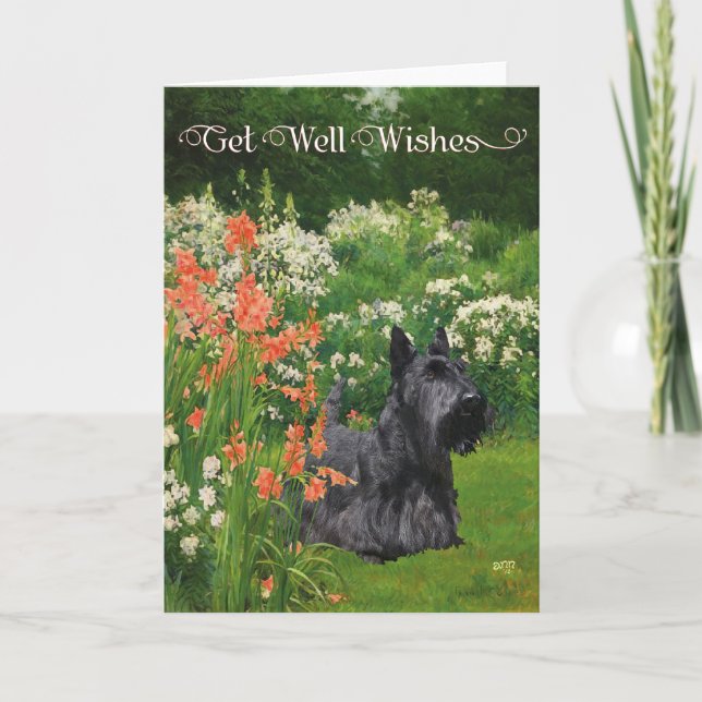 Scottish Terrier Get Well Wish Karte (Vorderseite)