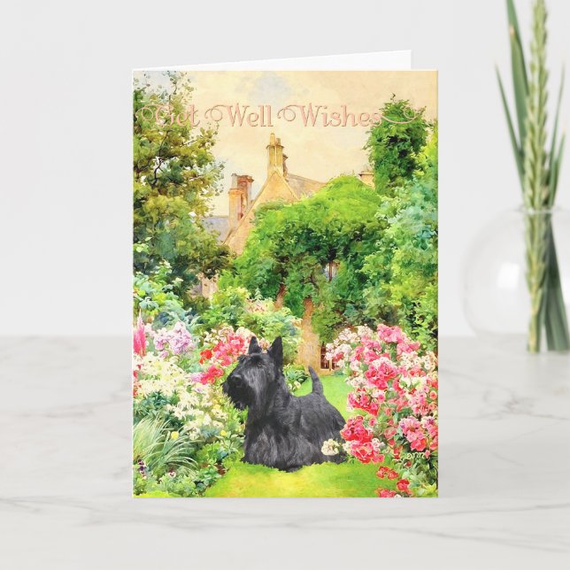 Scottish Terrier Get Well Wish Karte (Vorderseite)