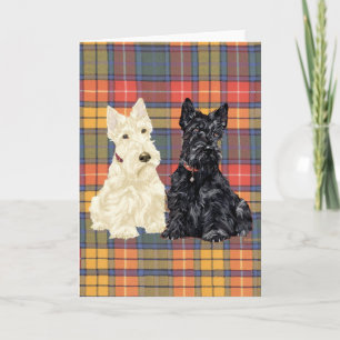 Scottish Terrier Grußkarte Karte