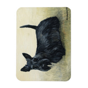 Scottish-Terrier-Hundekunst-Magnet Magnet