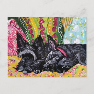 Scottish Terrier Hütte Postkarte