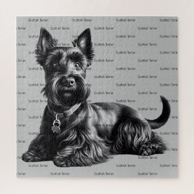 Scottish Terrier in (Vertikal)