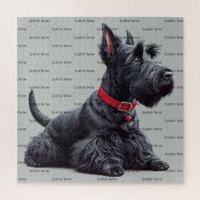 Scottish Terrier in (Vertikal)