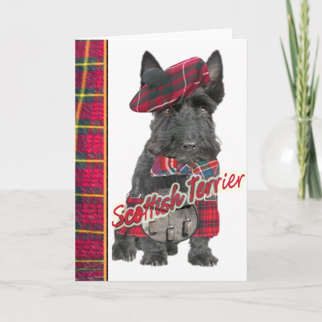 Scottish Terrier in den Kiltgrußkarten Karte (Vorderseite)