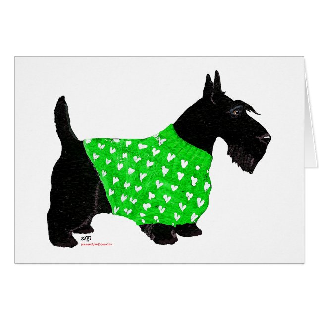 Scottish Terrier in einem Pullover (Vorderseite (Horizontal))
