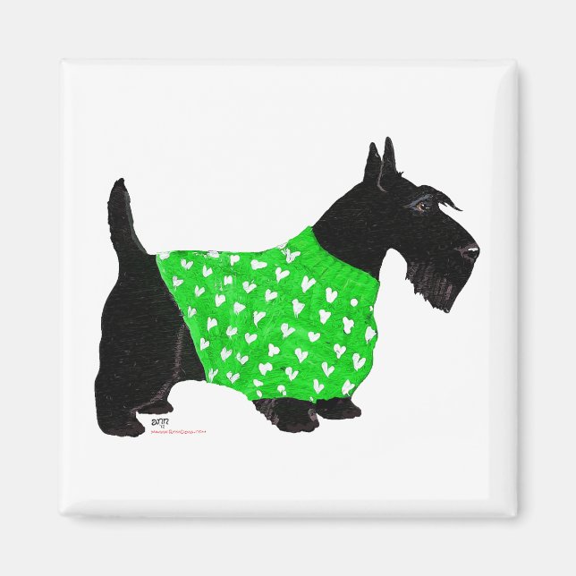 Scottish Terrier in einem Pullover Magnet (Vorne)