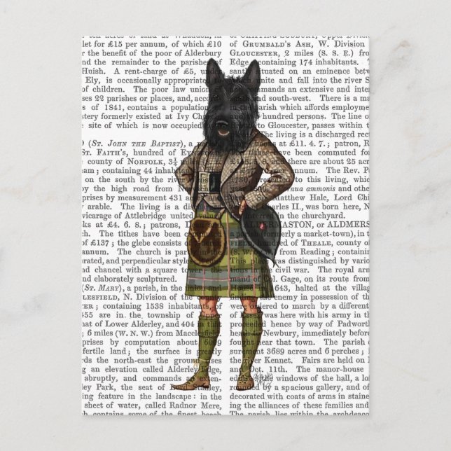 Scottish Terrier in Kilt Postkarte (Vorderseite)
