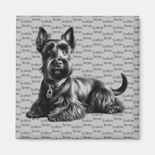 Scottish Terrier in Magnet (Vorne)