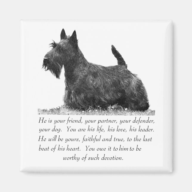Scottish Terrier Keepake - MALE Dog Magnet (Vorne)