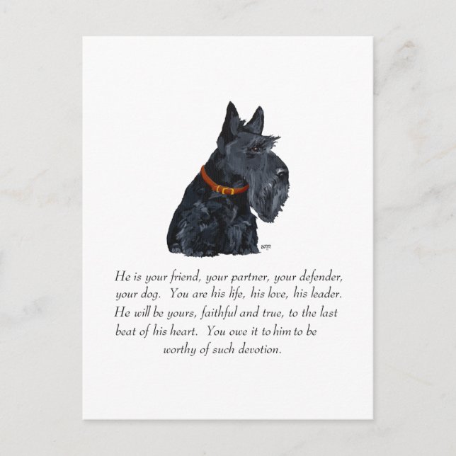 Scottish Terrier Keepake Postkarte (Vorderseite)