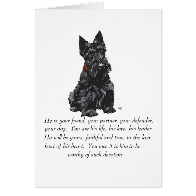 Scottish Terrier Keepsaké (Devant)