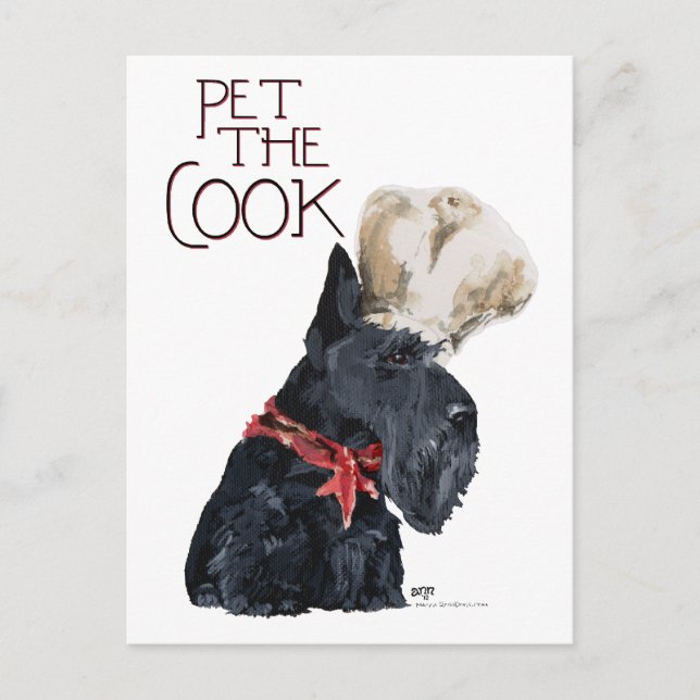 Scottish Terrier Koch Postkarte (Vorderseite)