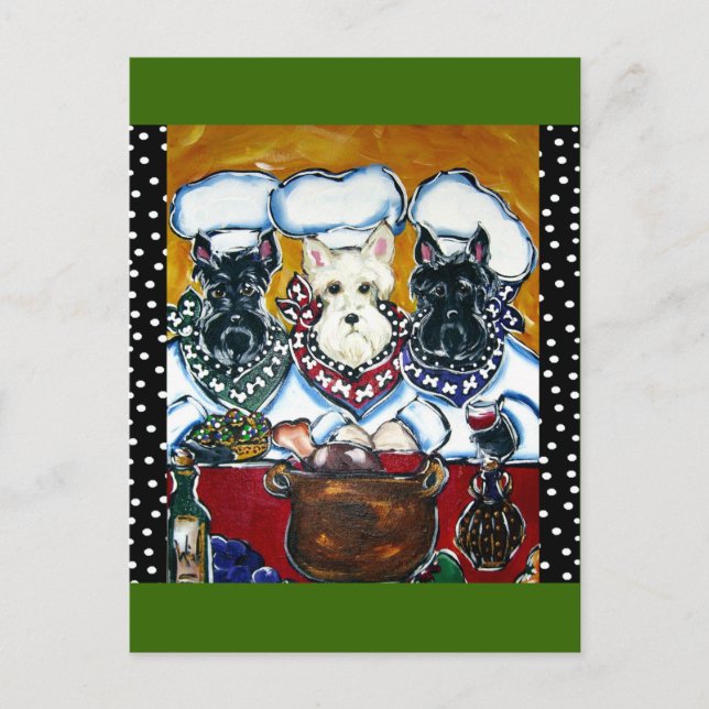Scottish Terrier Koch Postkarte (Vorderseite)