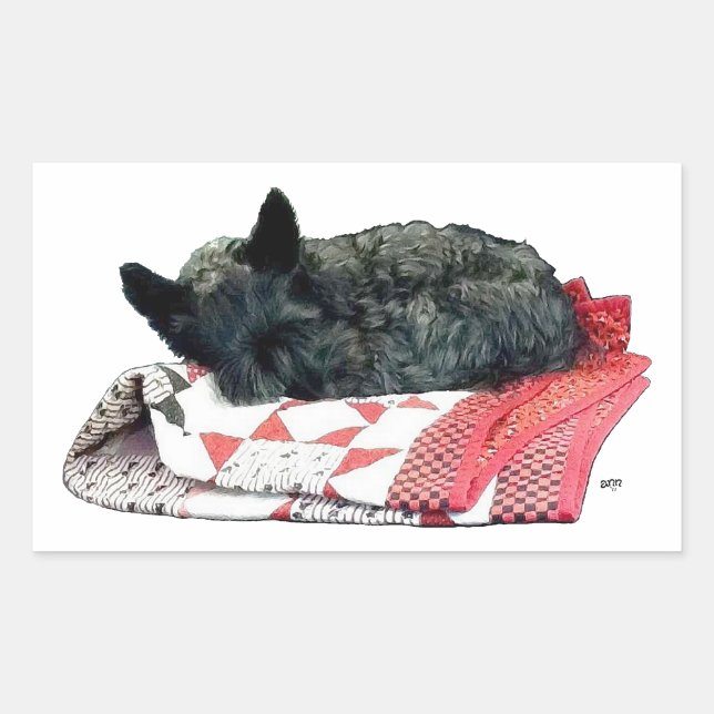 Scottish Terrier Napping Rechteckiger Aufkleber (Vorderseite)