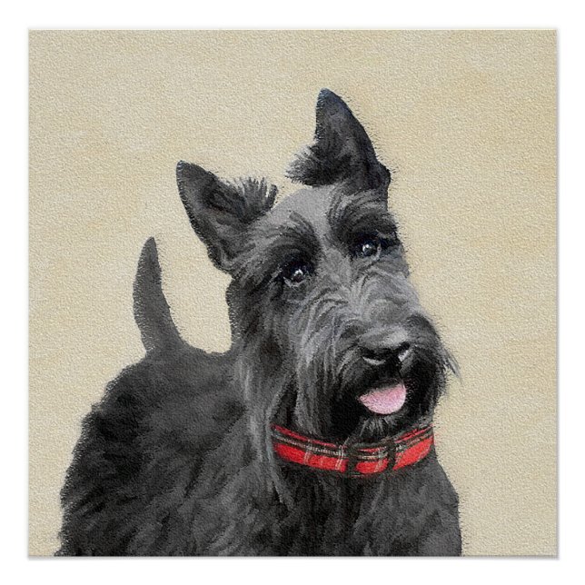 Scottish Terrier Painting - Niedliche Original Dog Poster (Vorderseite)