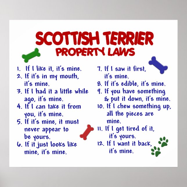 SCOTTISH TERRIER PL2 POSTER (Vorne)