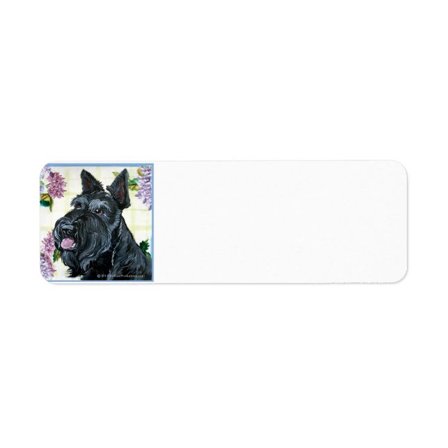 Scottish Terrier Portrait (Vorne)