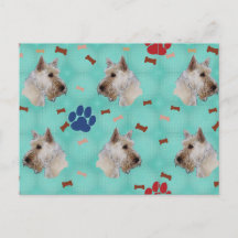 Scottish Terrier Portrait