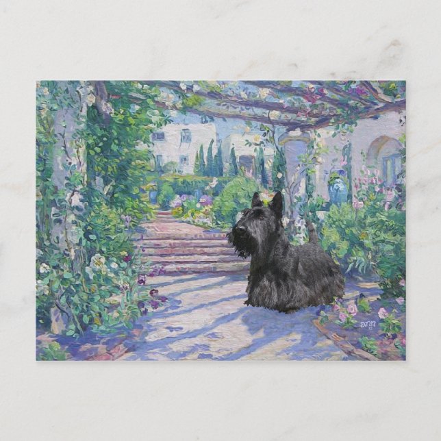 Scottish Terrier Post Card Postkarte (Vorderseite)