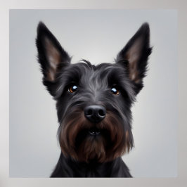 Scottish Terrier Poster
