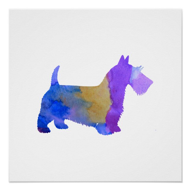 Scottish Terrier Poster (Vorderseite)