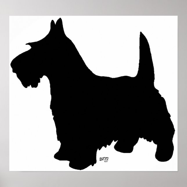 Scottish Terrier Poster (Vorne)