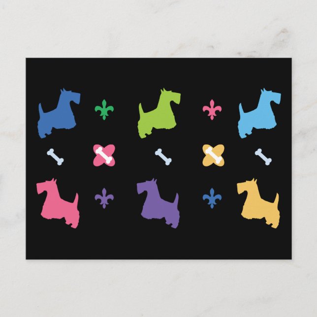 Scottish Terrier Postkarte (Vorderseite)