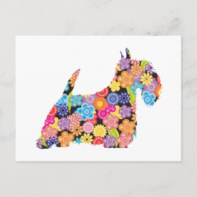 Scottish Terrier Postkarte (Vorderseite)