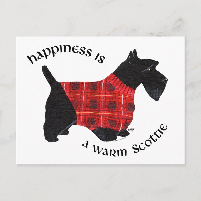 Scottish Terrier Red & Black Kariert Sweater Postkarte (Vorderseite)