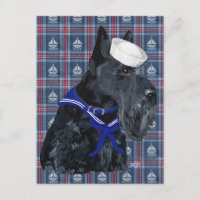 Scottish Terrier Sailor