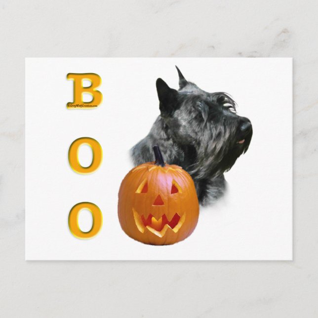 Scottish Terrier (schwarz) Boo Postkarte (Vorderseite)