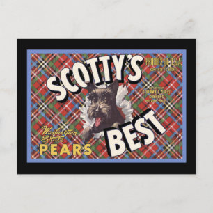 Scottish Terrier Scottys Best Dog Postkarte