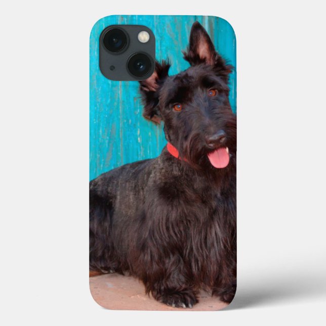 Scottish Terrier sitzt vor einer farbenfrohen Tür Case-Mate iPhone Hülle (Rückseite)