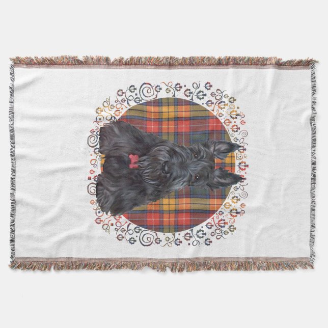 Scottish Terrier über Tartan Decke (Vorderseite)