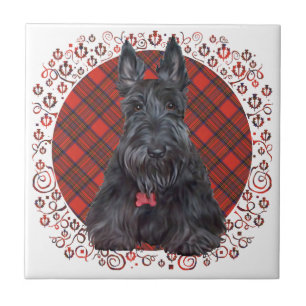 Scottish Terrier über Tartan Fliese